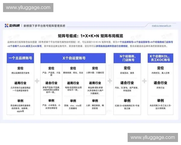 体育内容矩阵运营驱动品牌增长与用户价值共创新路径探索实战方法