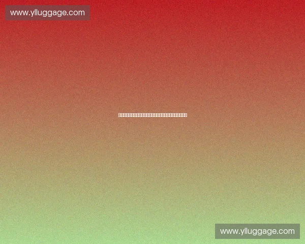 全球化背景下体育职业联盟海外拓展战略与创新路径模式探索